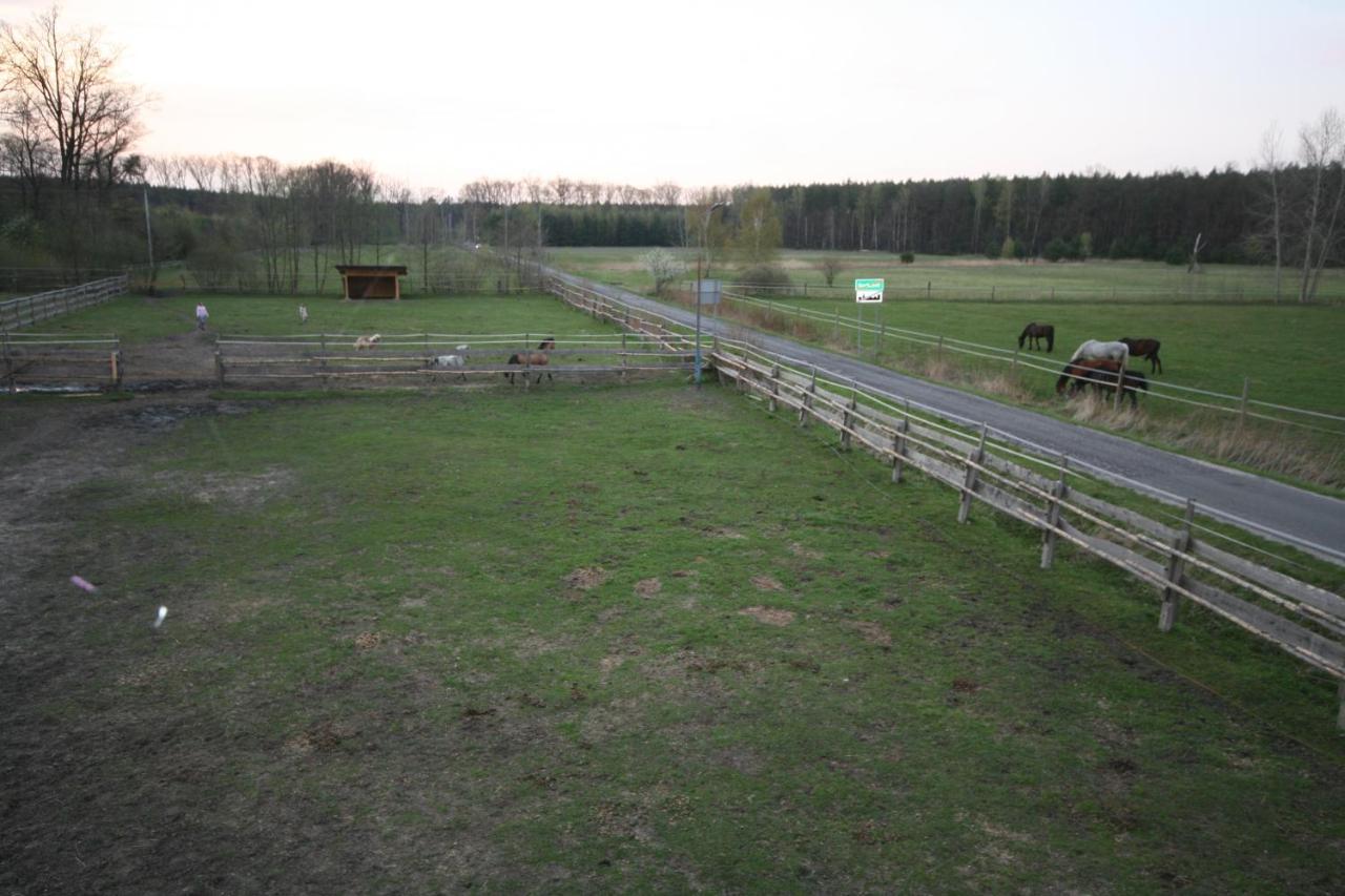 Lesniczowka Grabczok Apartment Bagian luar foto